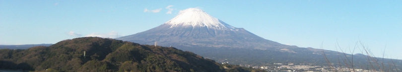 富士山を望む.JPG